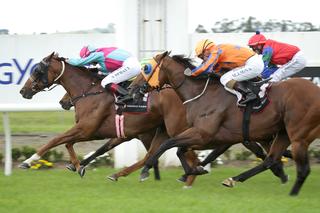 Fully funded claims his first black-type victory in the Haunui Farm Classic. Photo: Trish Dunell